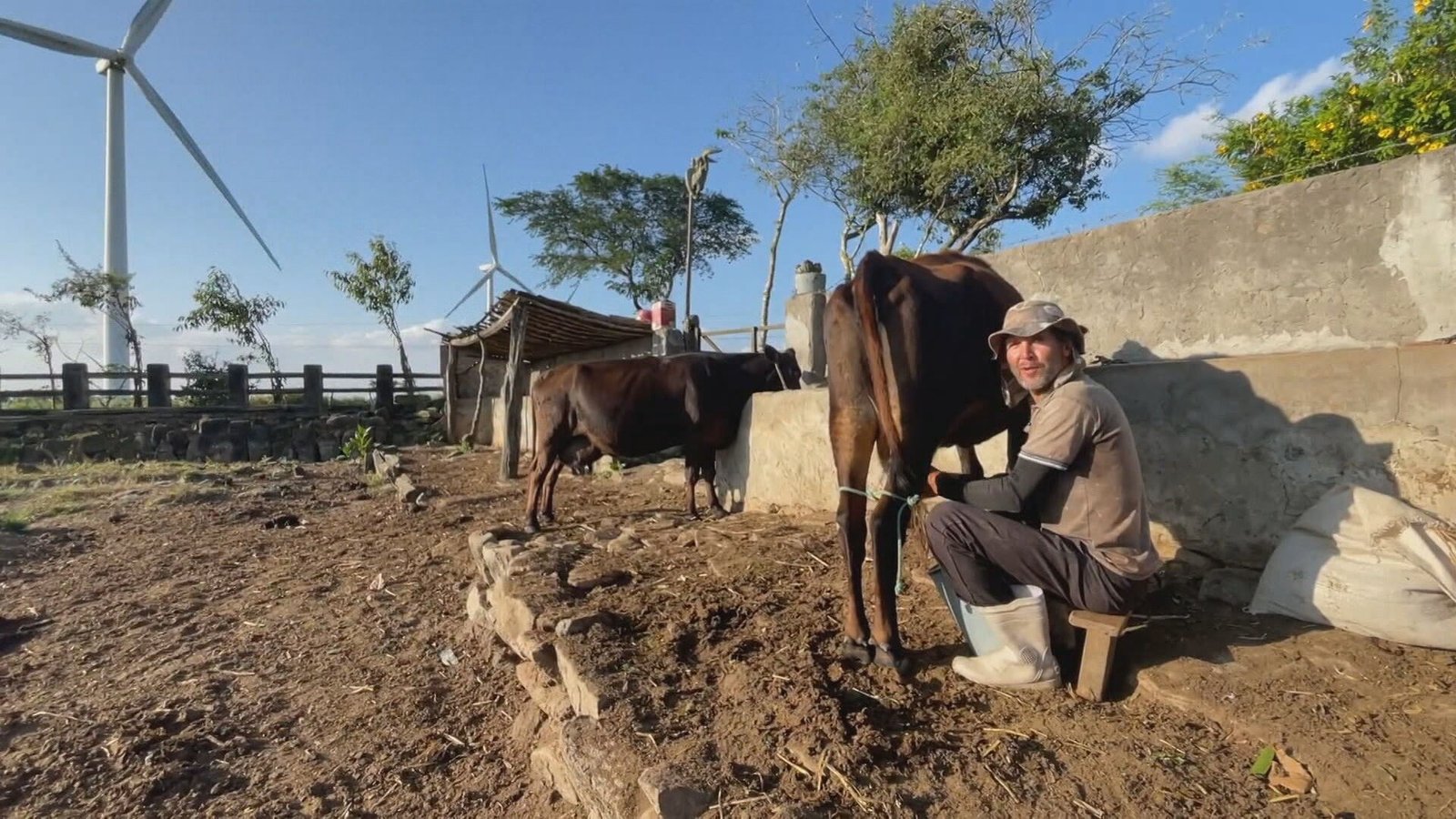 Agricultores denunciam religamento de turbinas em parque eólico com licença suspensa após protesto de indígenas; VÍDEO Agricultores denunciam religamento de turbinas em parque eólico com licença suspensa após protesto de indígenas; VÍDEO