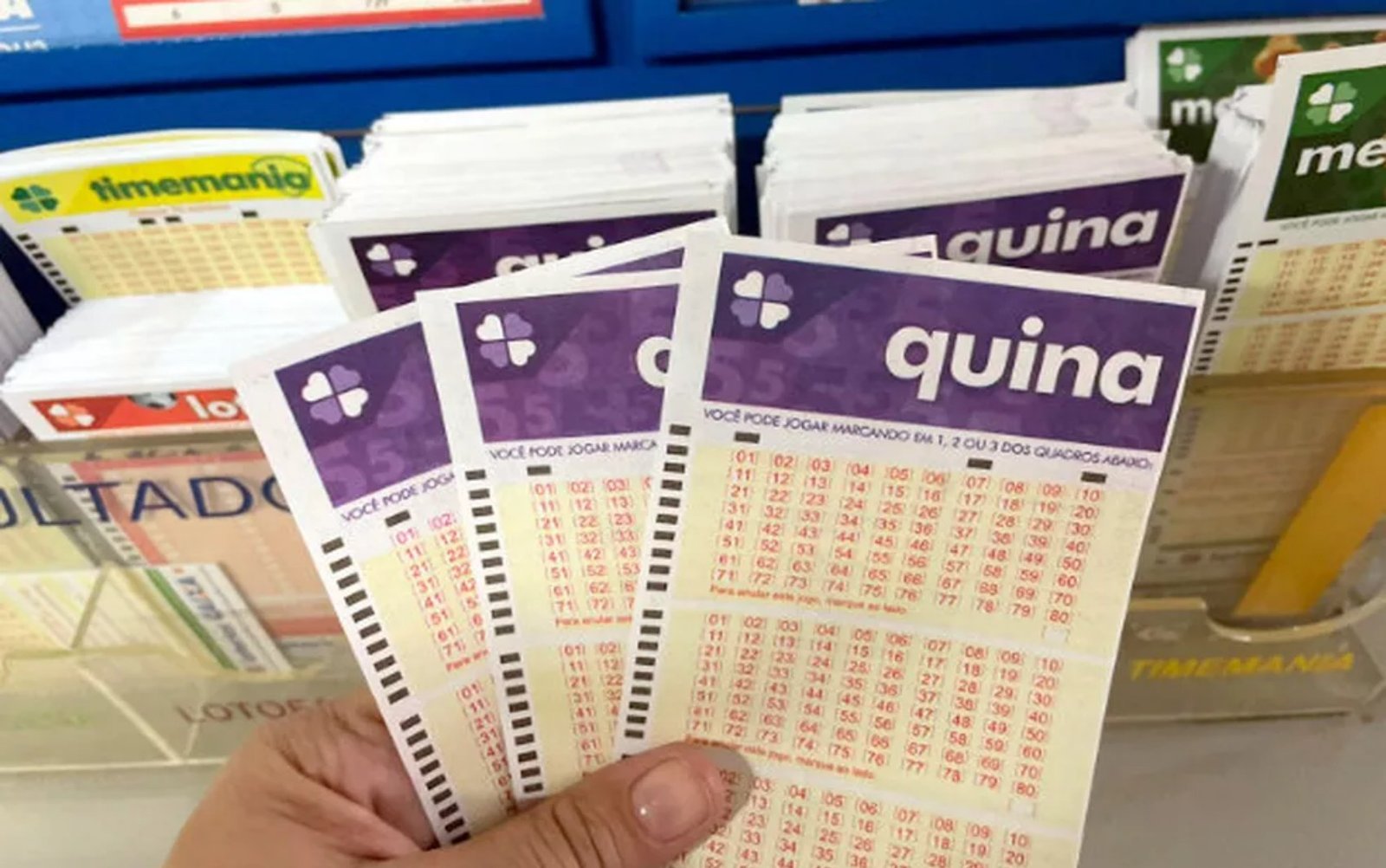 Quina: resultado do concurso 6669 Quina: resultado do concurso 6669