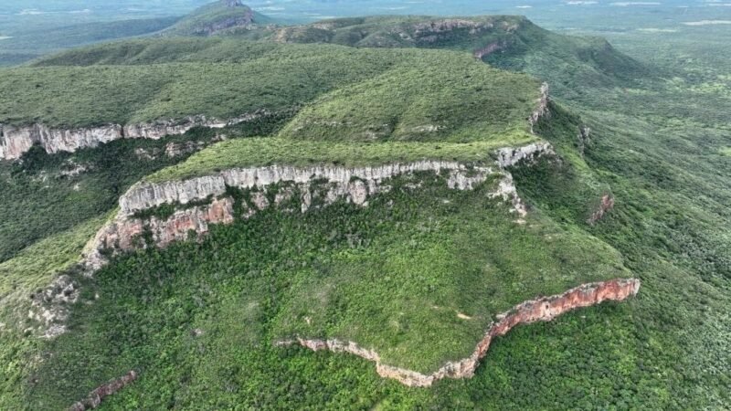 CPRH promove consultas públicas para discutir estudo voltado ao Refúgio de Vida Silvestre Tatu-bola