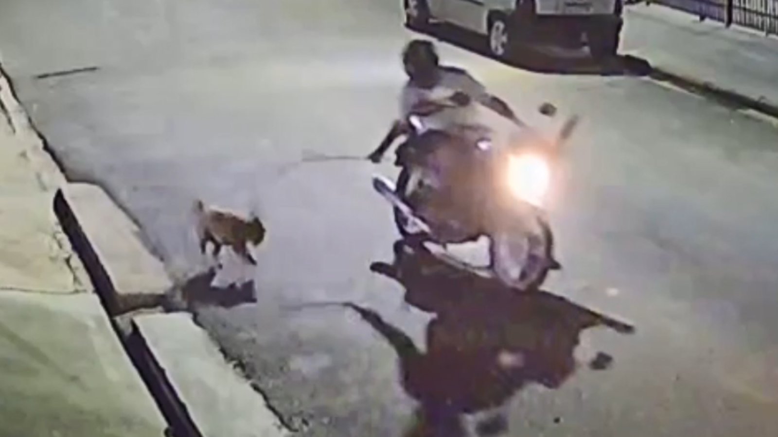 Tutora diz que está com medo de deixar cadela passear na rua após animal ser agredido com barra de ferro
e sofrer convulsão: ‘Mundo desabou’ Tutora diz que está com medo de deixar cadela passear na rua após animal ser agredido com barra de ferro
e sofrer convulsão: ‘Mundo desabou’