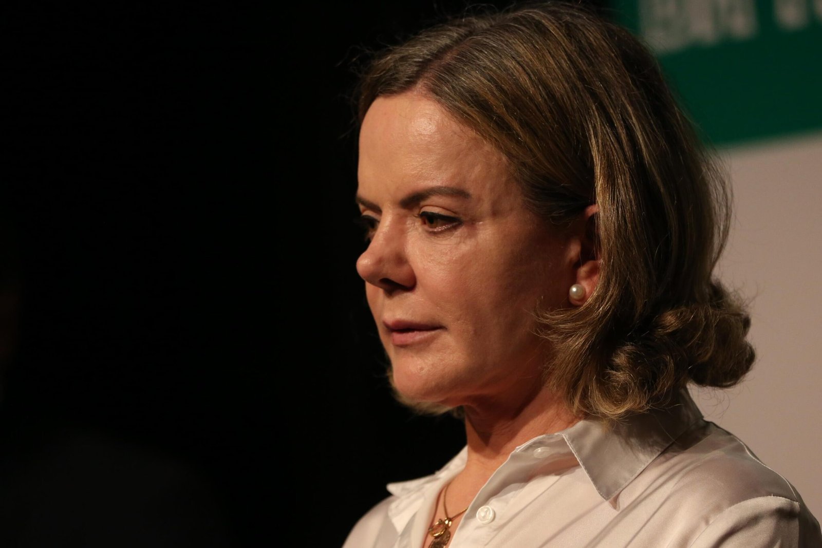 Não fui nomeada para tratar de economia, mas para cuidar da articulação política, diz Gleisi Hoffmann