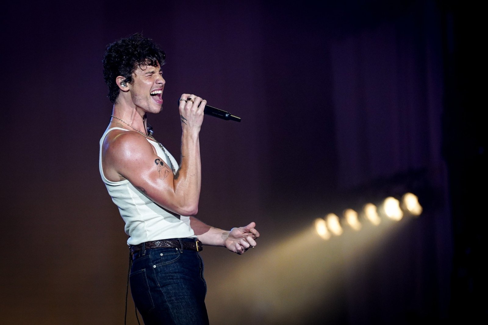 10 coisas que você precisa saber sobre o Lollapalooza 10 coisas que você precisa saber sobre o Lollapalooza