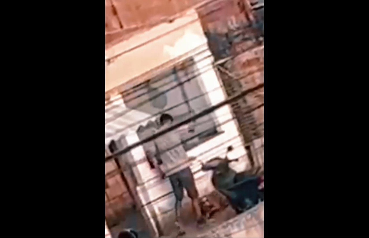 Homem é flagrado espancando pitbull em Balneário Camboriú e recebe voz de prisão; VÍDEO