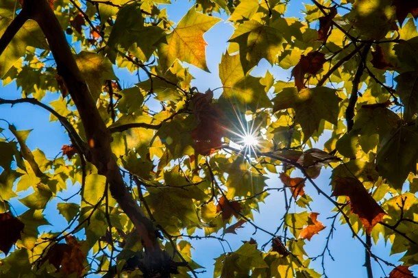 Após fim de semana frio, temperaturas voltam a subir no Sul e no Sudeste; veja previsão Após fim de semana frio, temperaturas voltam a subir no Sul e no Sudeste; veja previsão