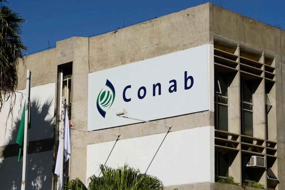 Concurso Conab: inscrições para 403 vagas e salários de até R$ 8,1 mil terminam nesta quinta Concurso Conab: inscrições para 403 vagas e salários de até R$ 8,1 mil terminam nesta quinta