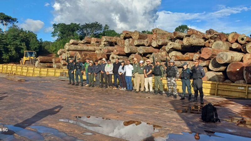Operação fiscaliza área de manejo em Juruti Velho após denúncias de extração ilegal de madeira