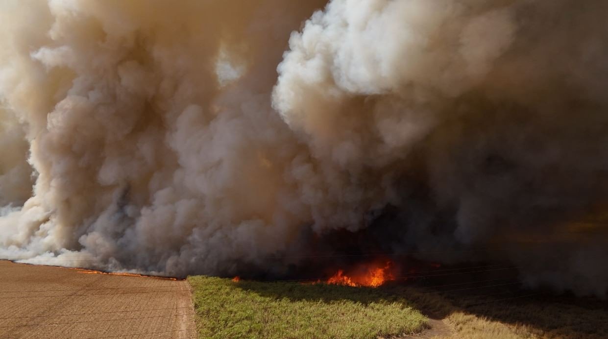 Homem é condenado a 8 anos de prisão por causar incêndios em áreas rurais do interior de SP Homem é condenado a 8 anos de prisão por causar incêndios em áreas rurais do interior de SP
