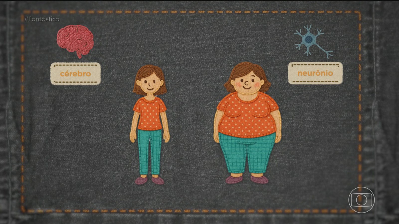 Efeito sanfona: como a ciência explica o vai e vem do peso?