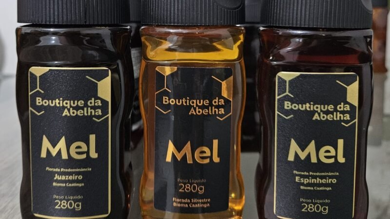 Mel da Caatinga potiguar ganha mercado com produção familiar em Pureza