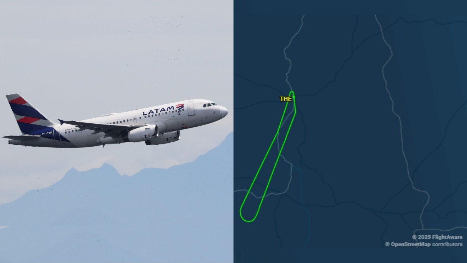 Avião colide com pássaro e retorna ao Aeroporto de Teresina Avião colide com pássaro e retorna ao Aeroporto de Teresina