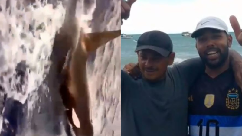 VÍDEO: Orca é flagrada por pescadores no mar do RN