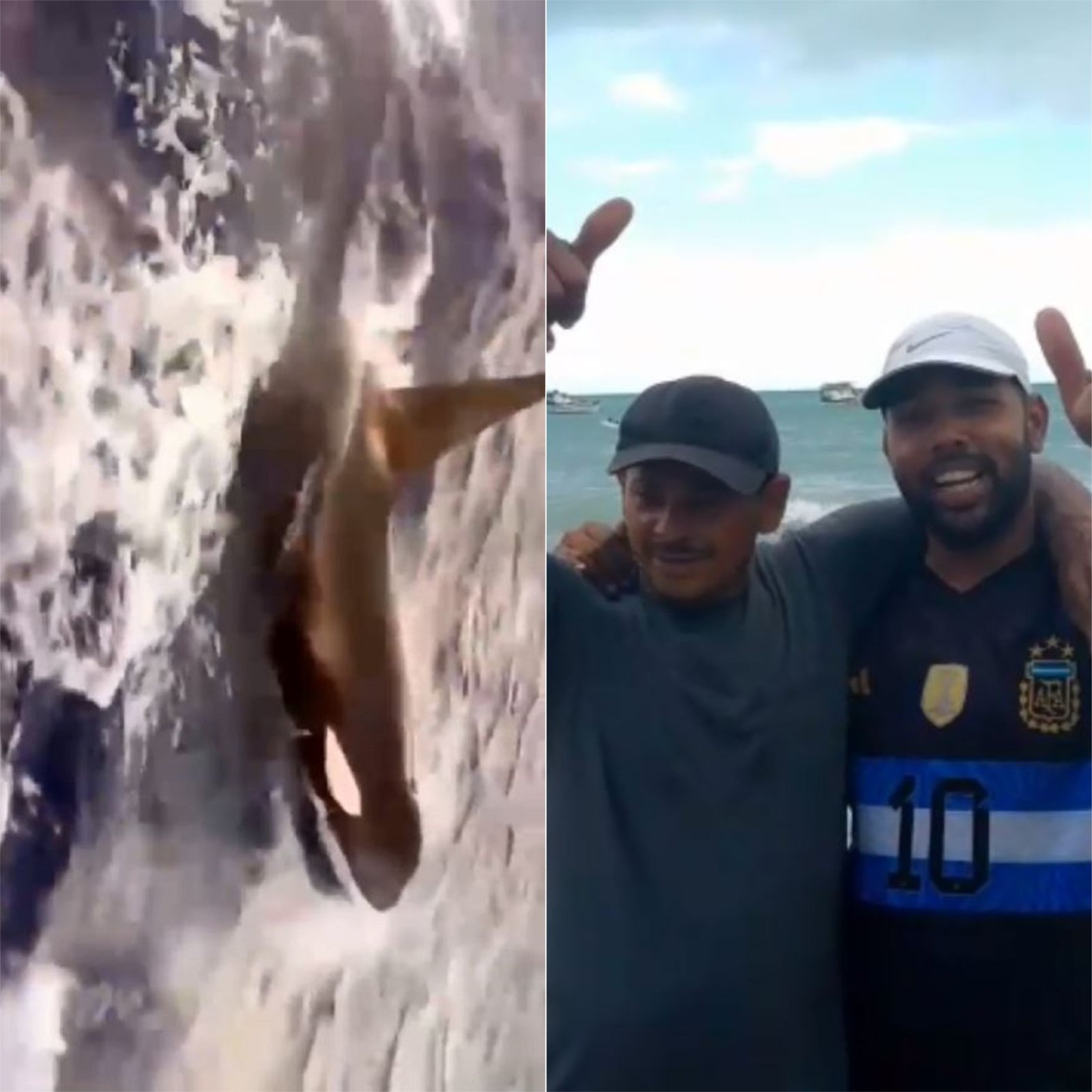 VÍDEO: Orca é flagrada por pescadores no mar do RN VÍDEO: Orca é flagrada por pescadores no mar do RN