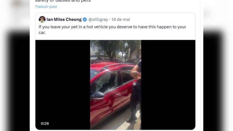 Elon Musk usa vídeo de resgate de cão preso em carro em SC para promover Tesla: ‘Proteção contra superaquecimento’