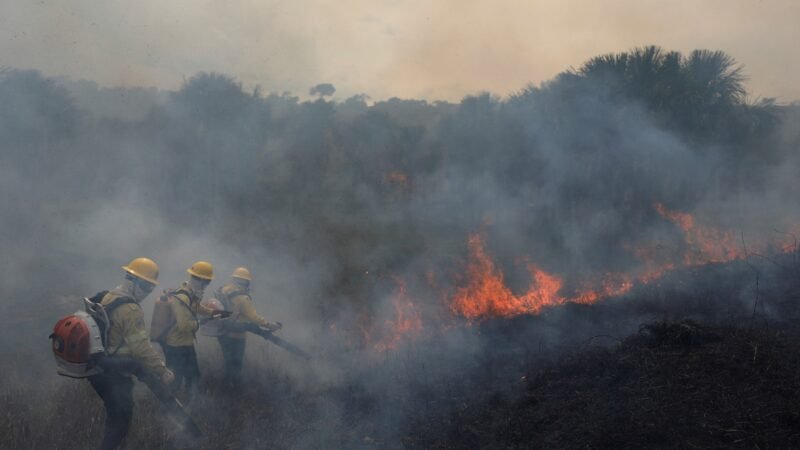 Brasil perdeu 30 milhões de hectares por causa de queimadas em 2024; Amazônia é a mais afetada