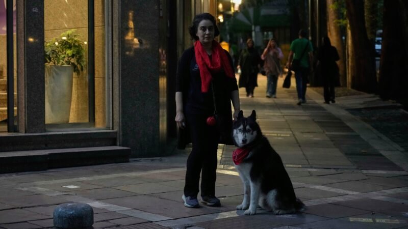 Irã amplia proibição de passeios com cães em público em várias cidades