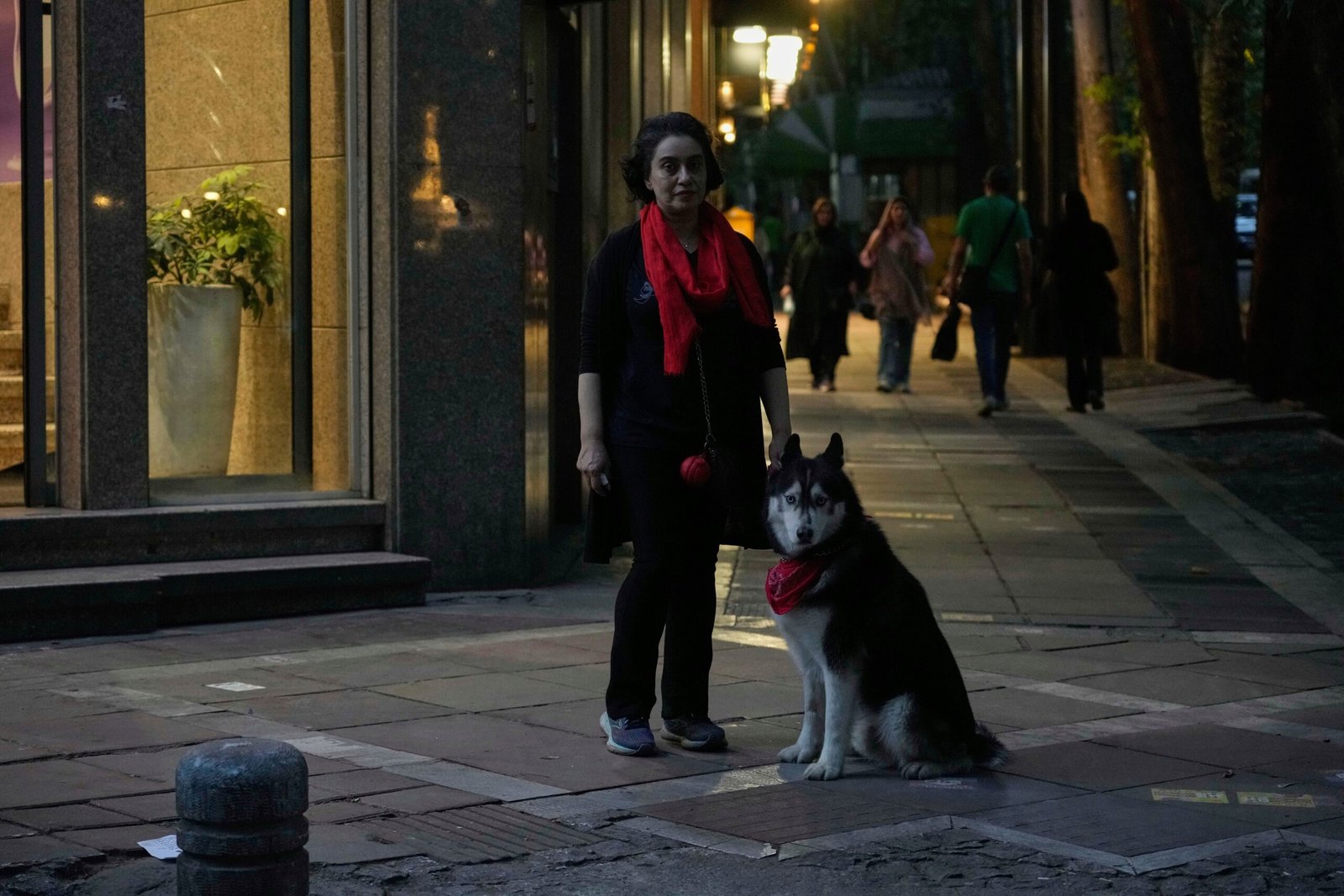 Irã amplia proibição de passeios com cães em público em várias cidades Irã amplia proibição de passeios com cães em público em várias cidades
