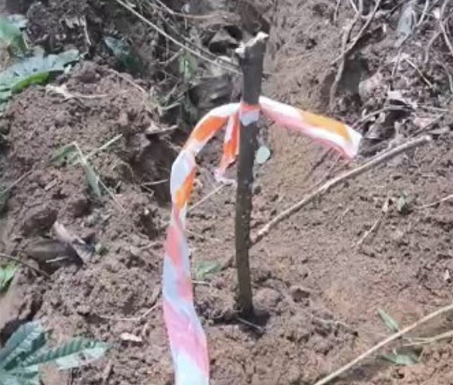 Polícia encontra mais ossadas em cemitério clandestino na Zona Sul de São Paulo, localizado em mata próxima da Represa Billings Polícia encontra mais ossadas em cemitério clandestino na Zona Sul de São Paulo, localizado em mata próxima da Represa Billings