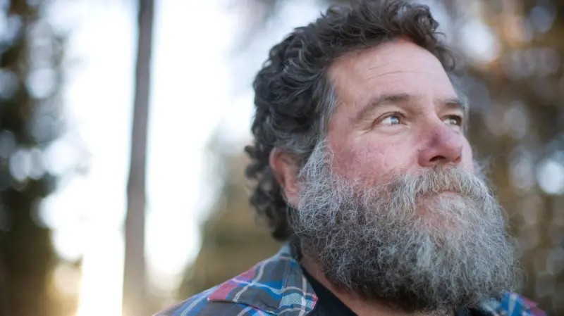 Barbas têm mais micróbios que privadas? O que diz a ciência