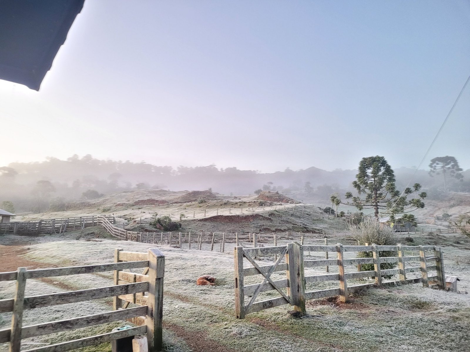 Frio fica mais intenso e todas as capitais do Sudeste podem ter recordes de baixas temperaturas nesta sexta Frio fica mais intenso e todas as capitais do Sudeste podem ter recordes de baixas temperaturas nesta sexta