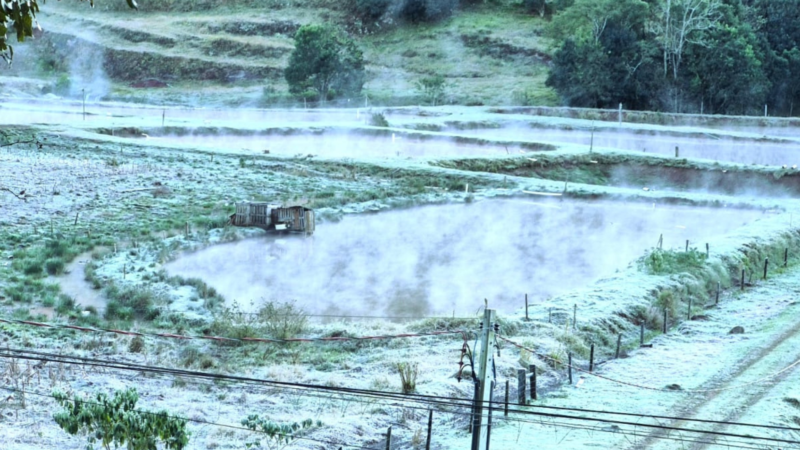 Onda de frio atinge pico nesta quarta e mínima pode chegar a 5°C em SP; veja capitais mais geladas