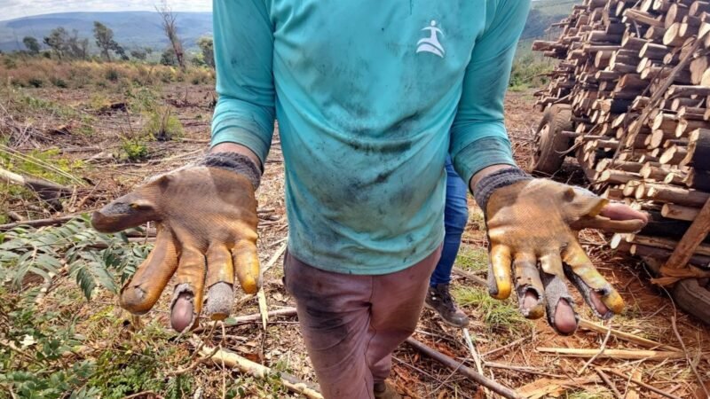 Resgate de trabalhadores, idoso encontrado com a ajuda de cão e caminhoneiro feito refém: Veja as mais lidas da semana