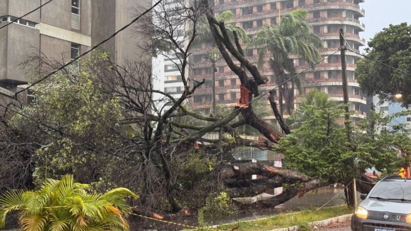 Natal registra mais de 100 mm de chuva em 24 horas: volume é um terço do esperado para junho inteiro