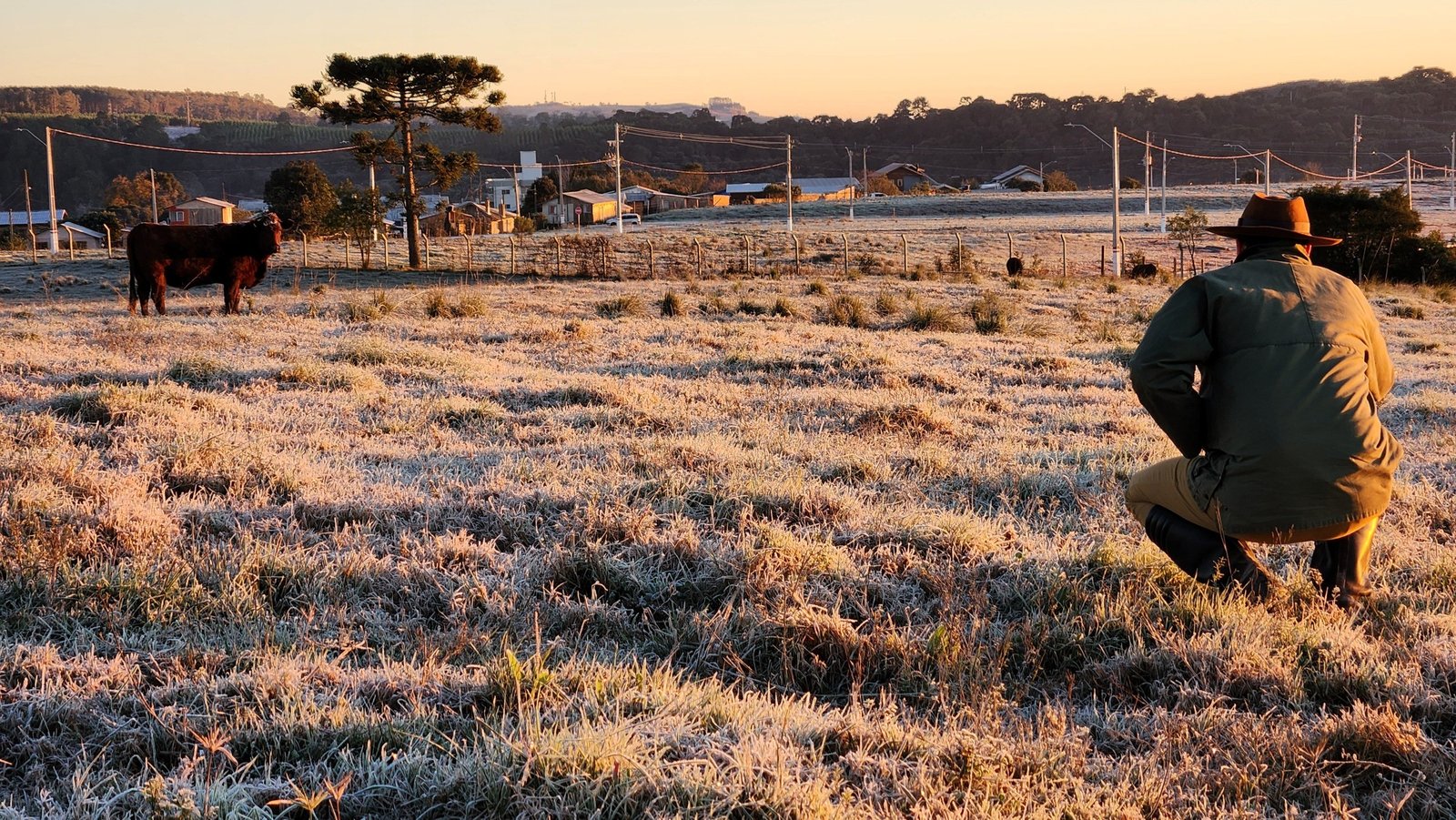 Nova onda de frio em SC prevê temperaturas negativas, geada e congelamento de pistas Nova onda de frio em SC prevê temperaturas negativas, geada e congelamento de pistas