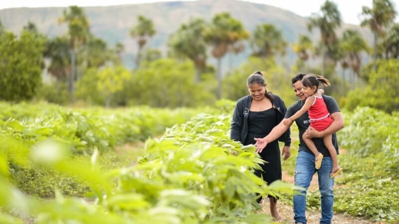 Com políticas públicas voltadas à agricultura familiar, prefeitura já investiu mais de R$ 62 milhões no setor