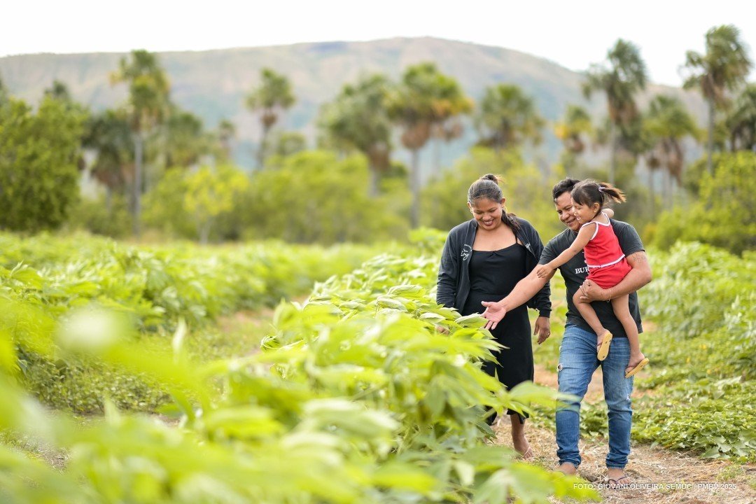 Com políticas públicas voltadas à agricultura familiar, prefeitura já investiu mais de R$ 62 milhões no setor