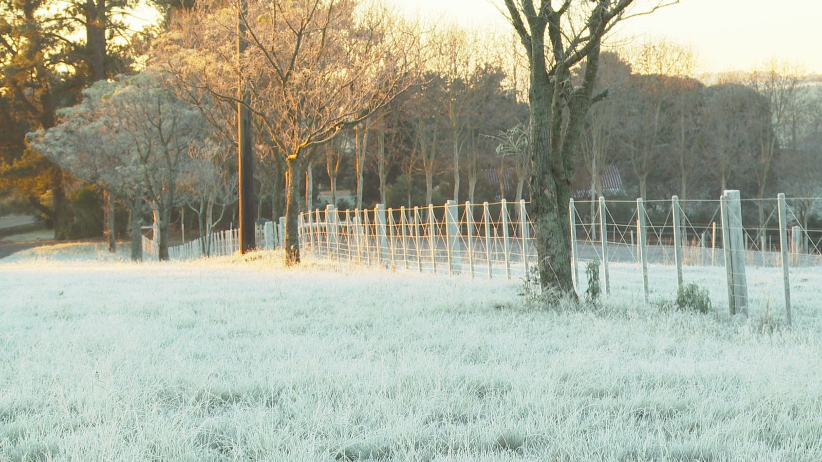 Frio avança pelo Centro-Sul nesta quarta; mínimas ficam abaixo de 0°C em áreas do RS, SC e PR Frio avança pelo Centro-Sul nesta quarta; mínimas ficam abaixo de 0°C em áreas do RS, SC e PR