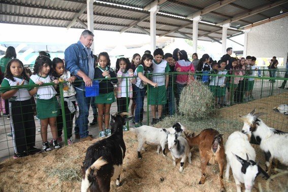 Expoagro 2025 tem programação especial para crianças