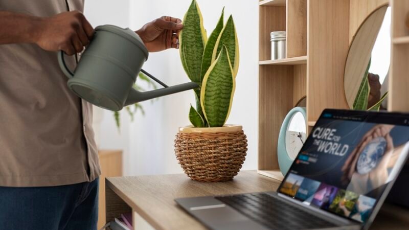 Arquitetura biofílica: conectando o ser humano à natureza nos espaços urbanos