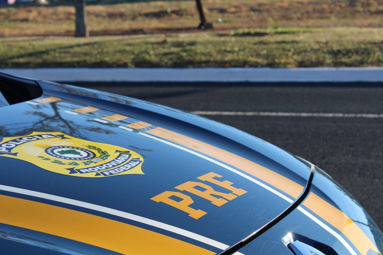 Pedestre morre atropelado em frente à rodoviária de Uberlândia; vítima pode ser estrangeira, segundo PRF Pedestre morre atropelado em frente à rodoviária de Uberlândia; vítima pode ser estrangeira, segundo PRF