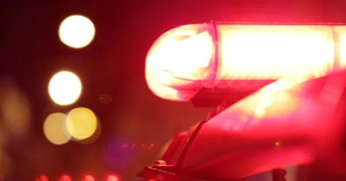Após ser baleado nas costas, homem corre e pede socorro em bar Após ser baleado nas costas, homem corre e pede socorro em bar