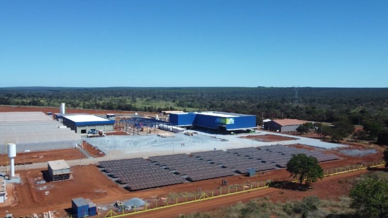 Montes Claros vai produzir combustível sustentável a partir da macaúba