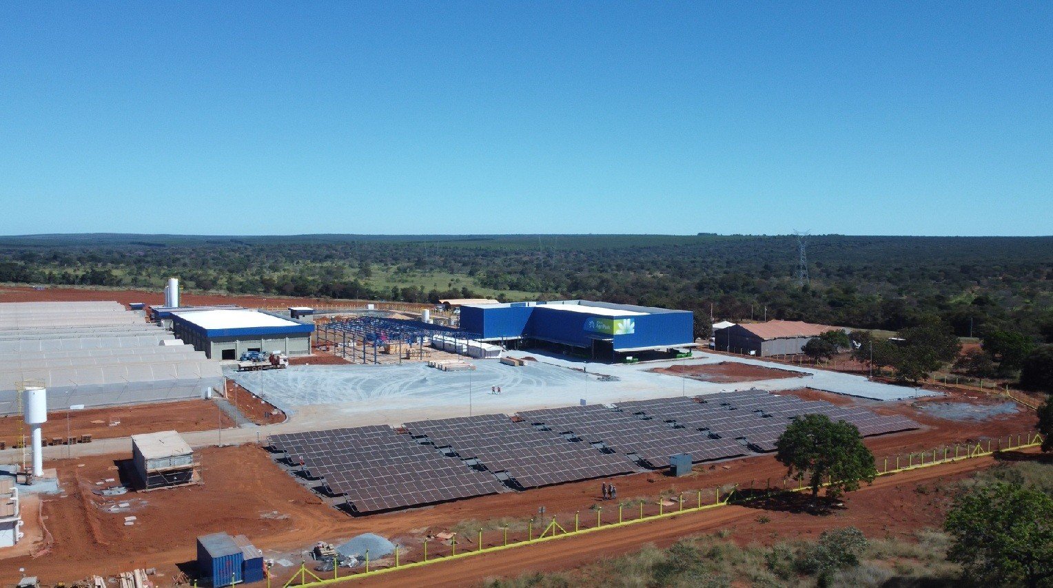 Montes Claros vai produzir combustível sustentável a partir da macaúba