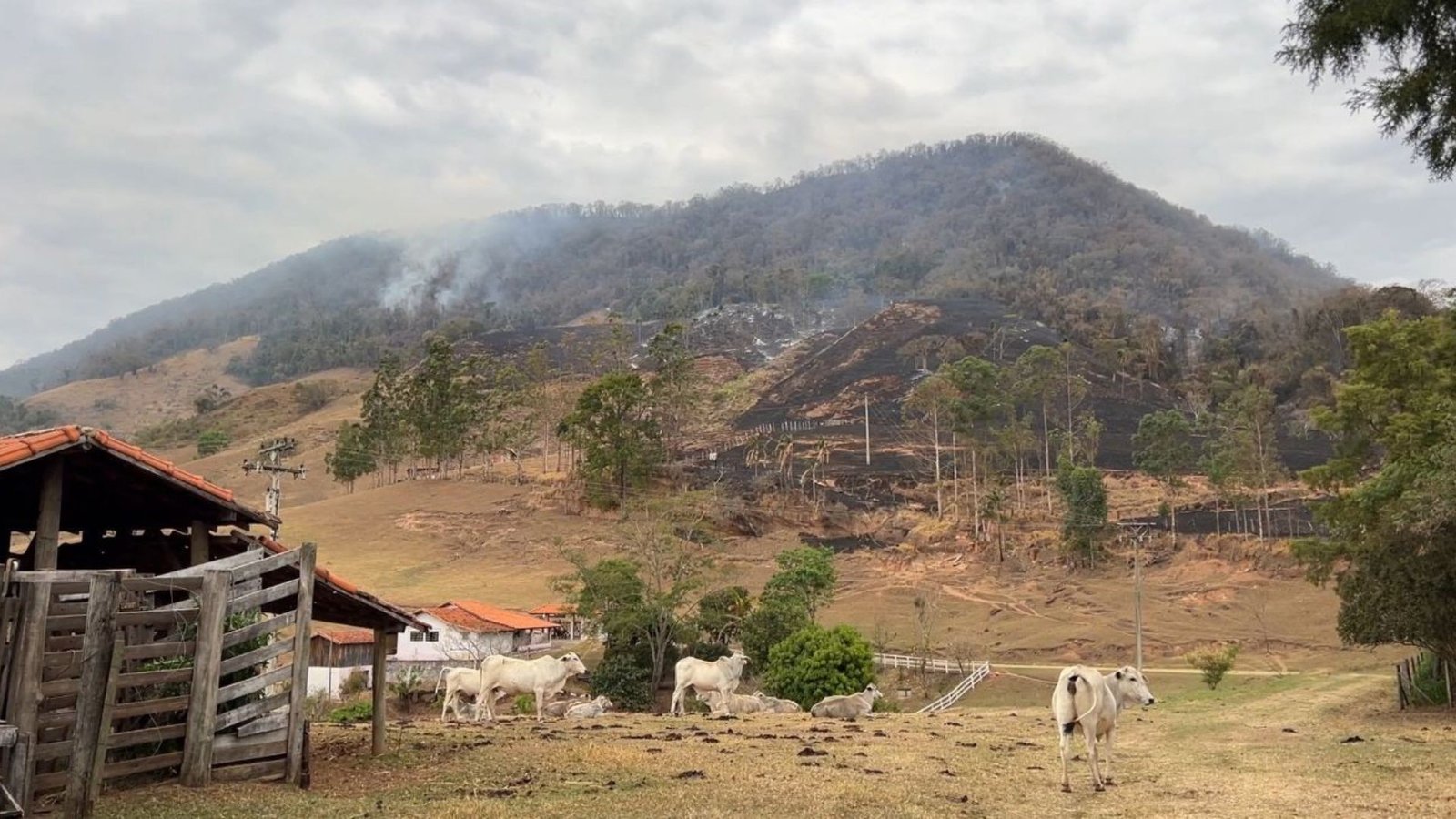 Incêndio de grandes proporções atinge Morro de Bofete; terreno íngreme dificulta combate Incêndio de grandes proporções atinge Morro de Bofete; terreno íngreme dificulta combate