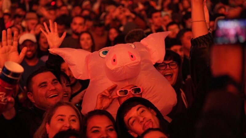 Robô, Zé Gotinha e Porquinho da Paulista: os rolês aleatórios do The Town