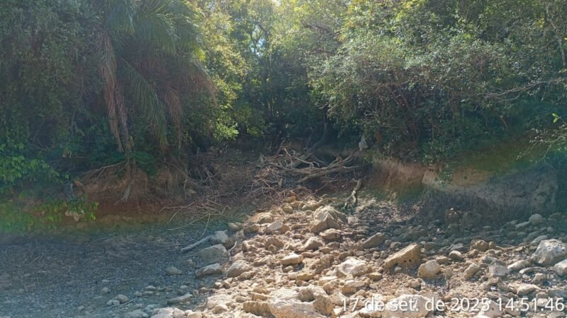 Trecho de rio cristalino seca e operação resgata peixes para evitar morte de espécies em MS