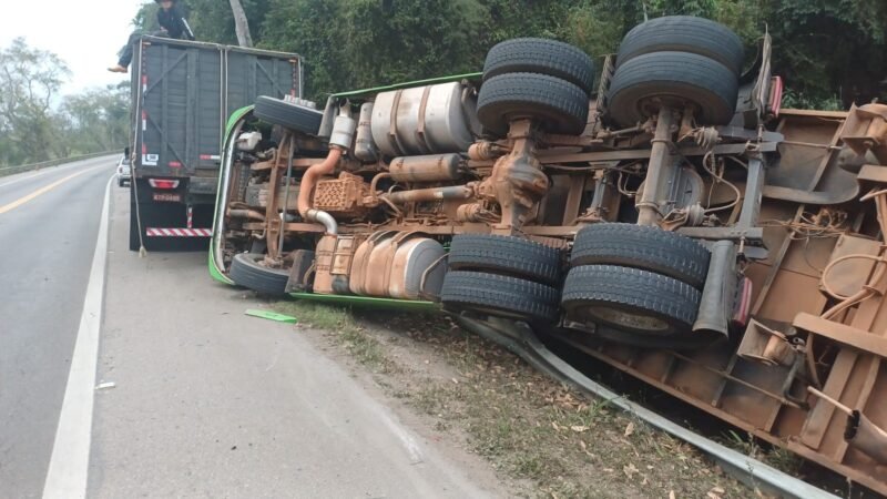 Motorista morre após caminhão carregado de bois tombar na BR-393, em Barra do Piraí