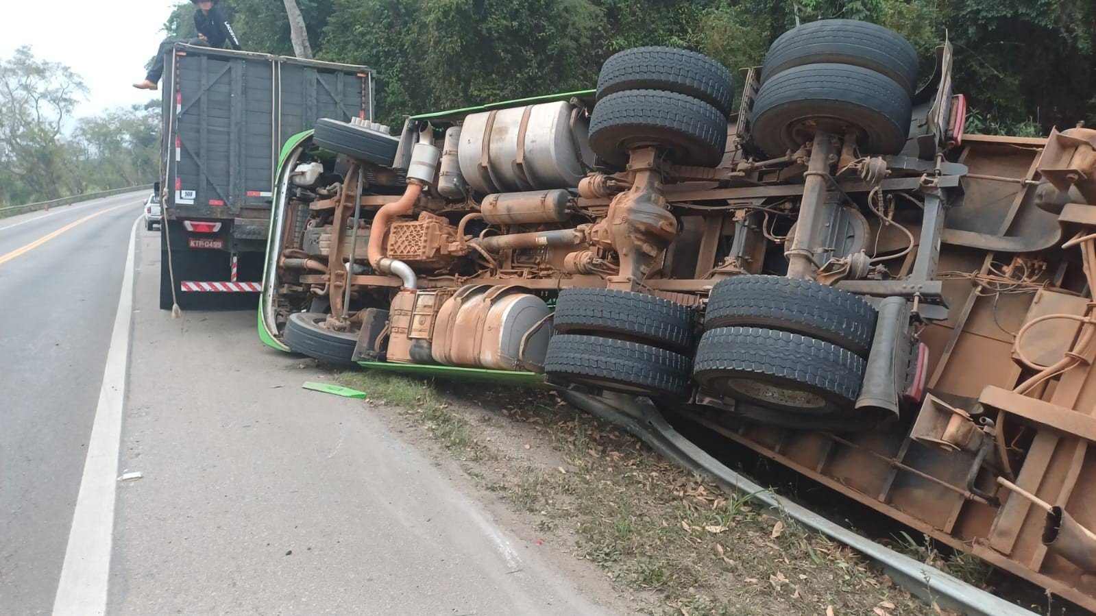 Motorista morre após caminhão carregado de bois tombar na BR-393, em Barra do Piraí
