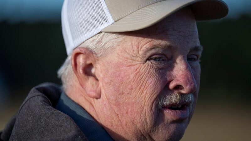 Preço da soja despenca nos EUA com guerra comercial com a China; produtores pedem acordo comercial