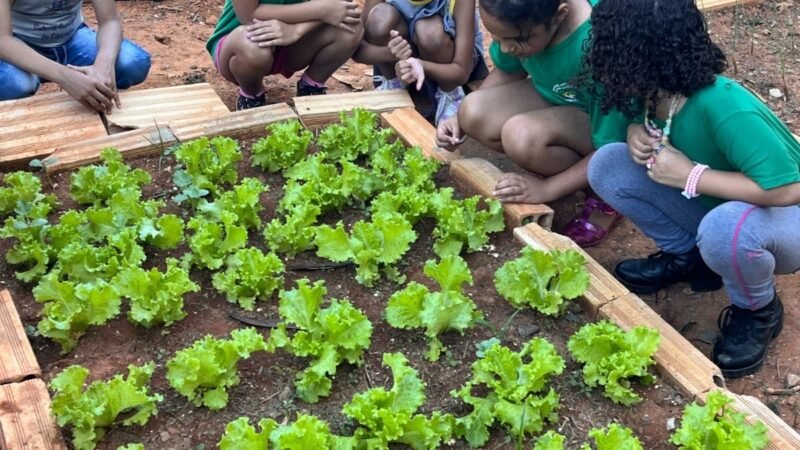 Montes Claros é destaque nacional em educação alimentar
