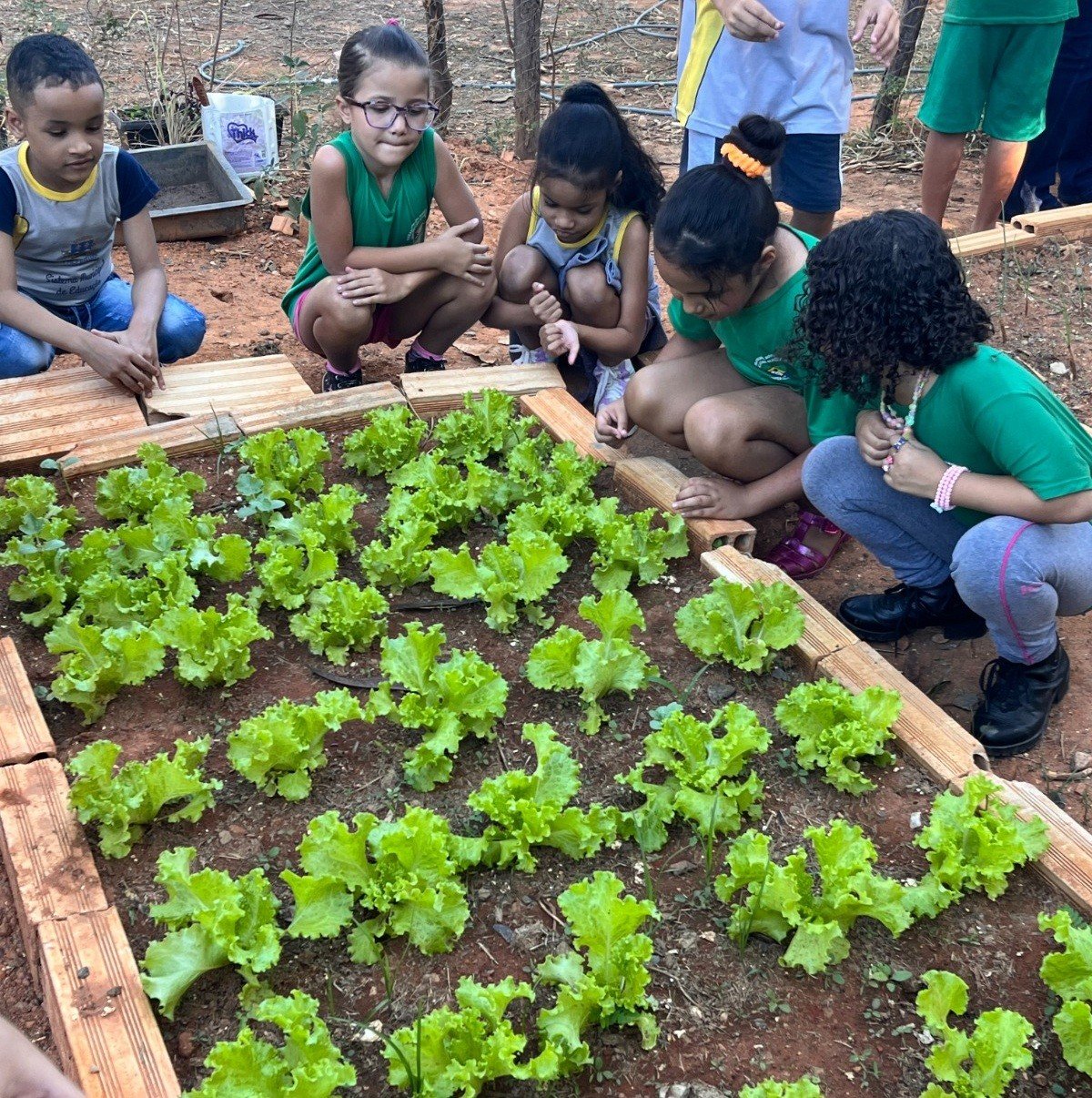 Montes Claros é destaque nacional em educação alimentar