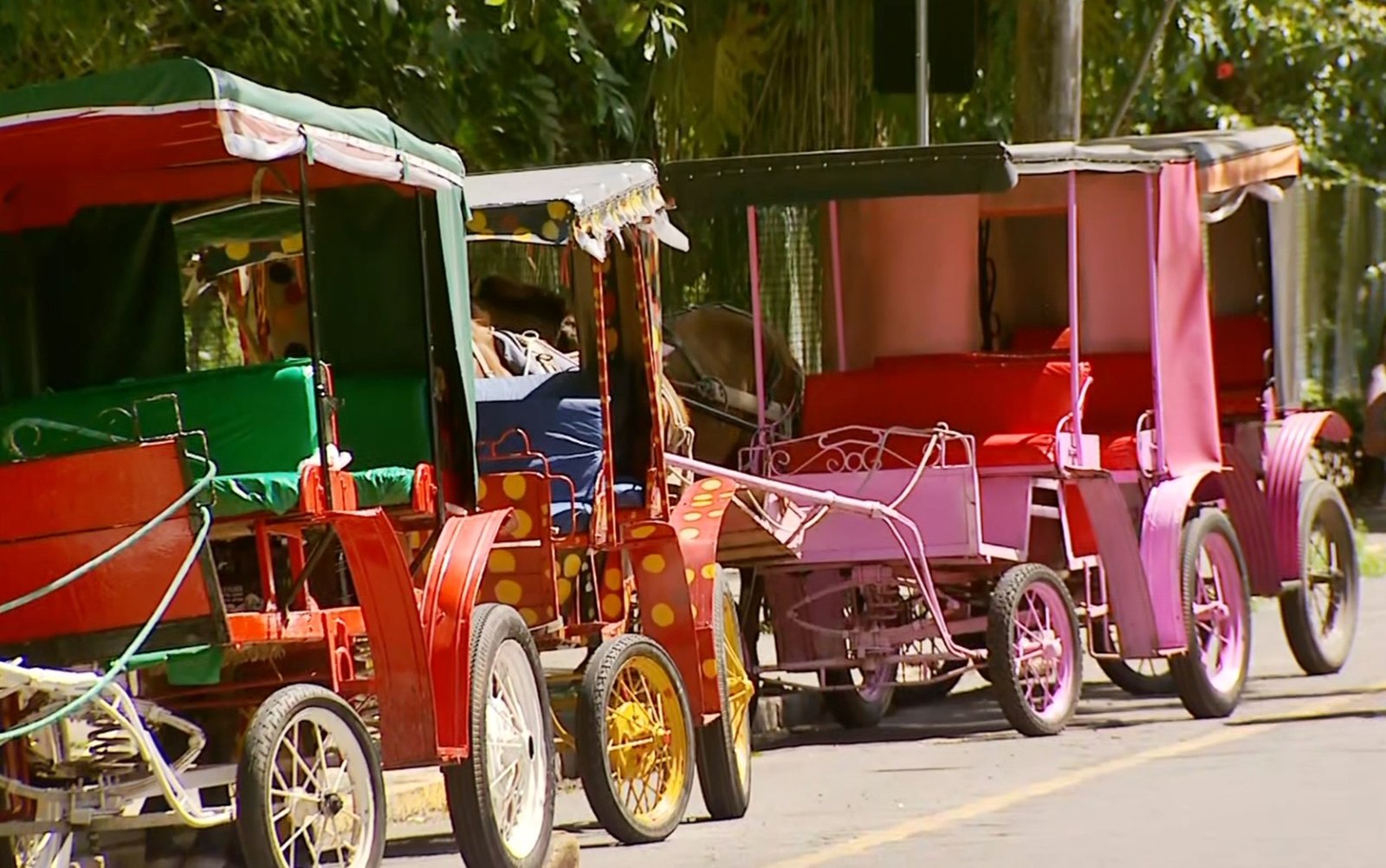 Caxambu proíbe o uso de charretes para passeios turísticos