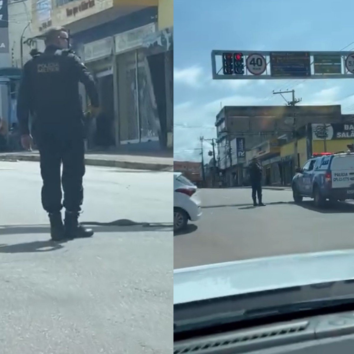 VÍDEO: cobra ‘para o trânsito’ enquanto tenta atravessar avenida em Porto Velho
