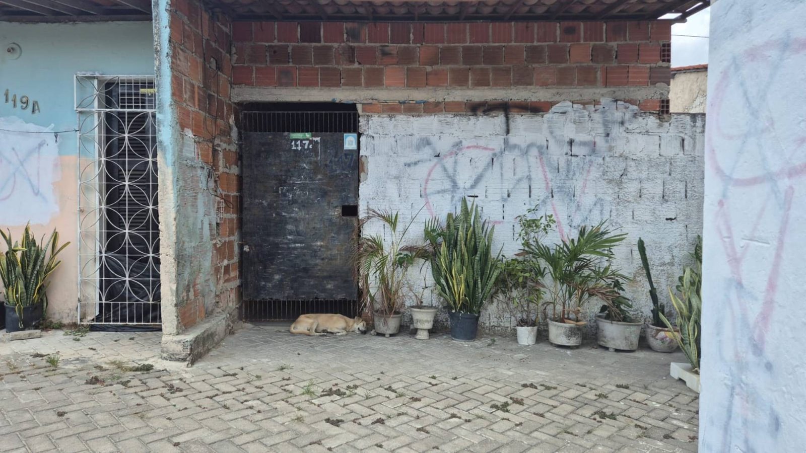 O poder das facções no Nordeste – O Assunto #1591