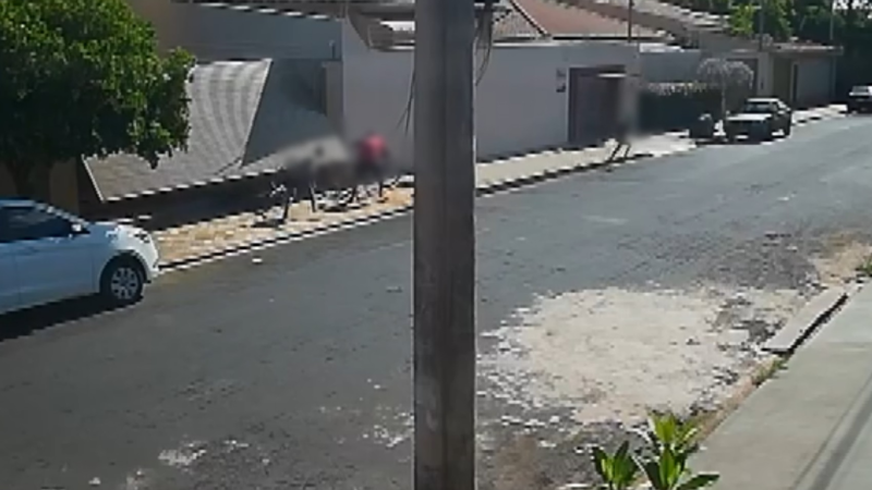 Jovens forçam abertura de portão eletrônico e furtam bicicleta de casa em Ribeirão Preto; VÍDEO