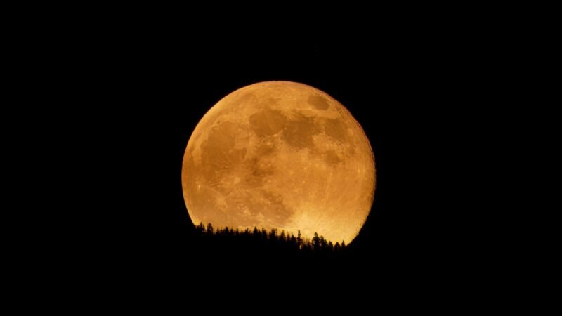 Última superlua de 2025 tem ápice nesta quinta (4); saiba qual é o melhor horário para apreciar o fenômeno