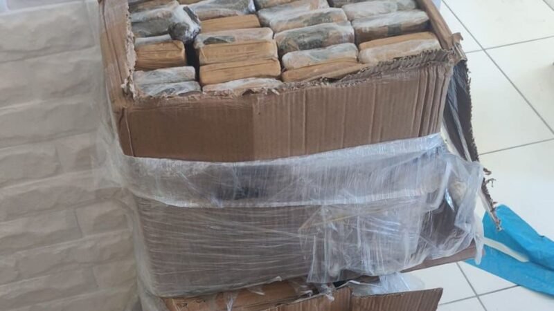 Cerca de 100 quilos de drogas são apreendidos e um suspeito é preso em São Cristóvão